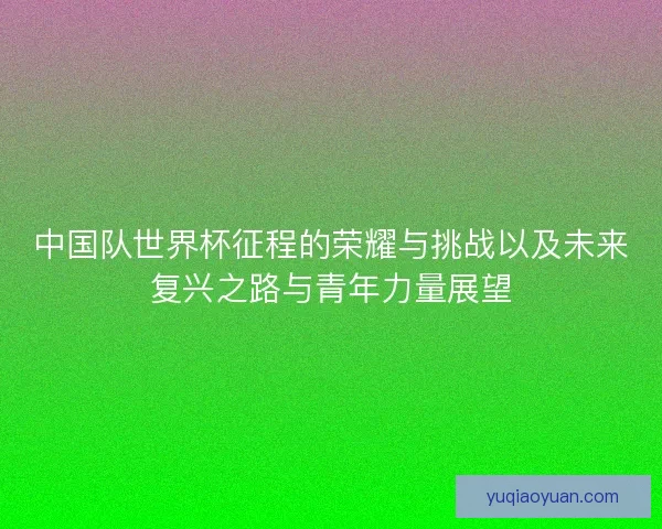 中国队世界杯征程的荣耀与挑战以及未来复兴之路与青年力量展望