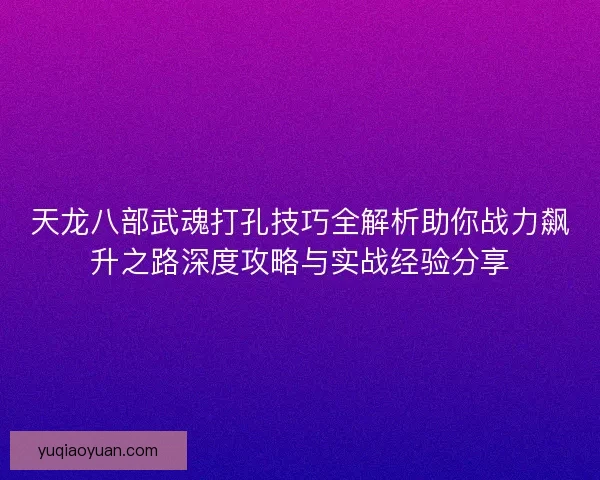 天龙八部武魂打孔技巧全解析助你战力飙升之路深度攻略与实战经验分享