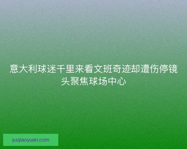 意大利球迷千里来看文班奇迹却遭伤停镜头聚焦球场中心